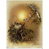 Lot of 8 (6 x 8) Art Print SC2065 Andres Orpinas - 