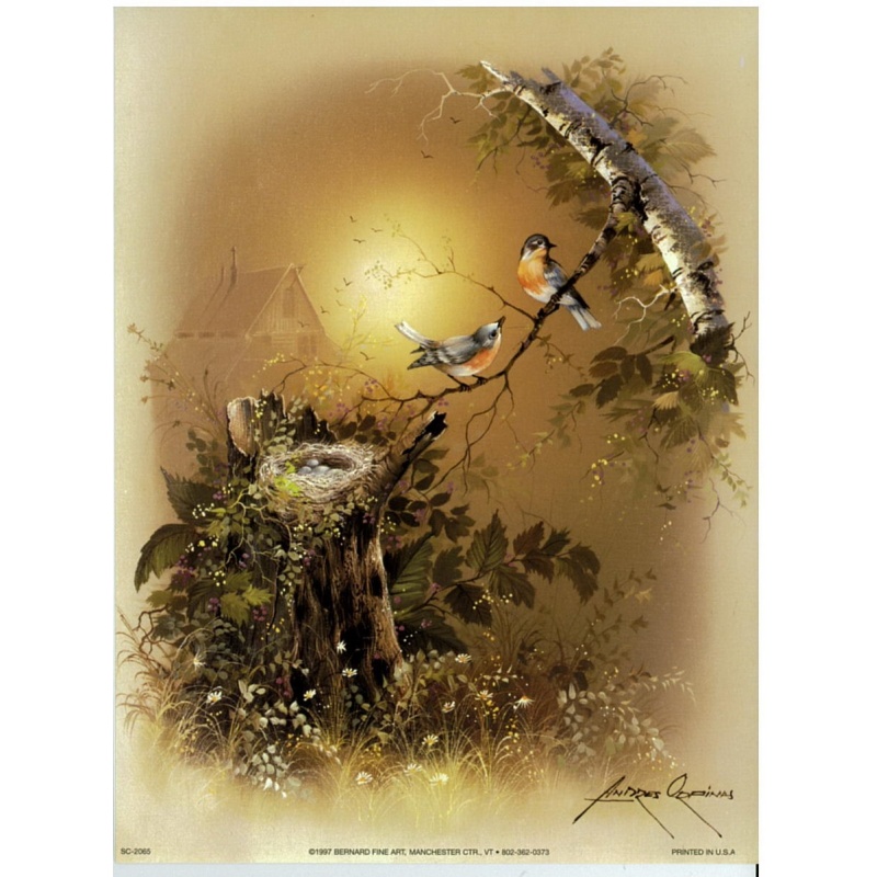 (6 x 8) Art Print SC2065 Andres Orpinas - 