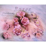 (16 x 20) Art Print DT0307 Applejack Art Partners - 