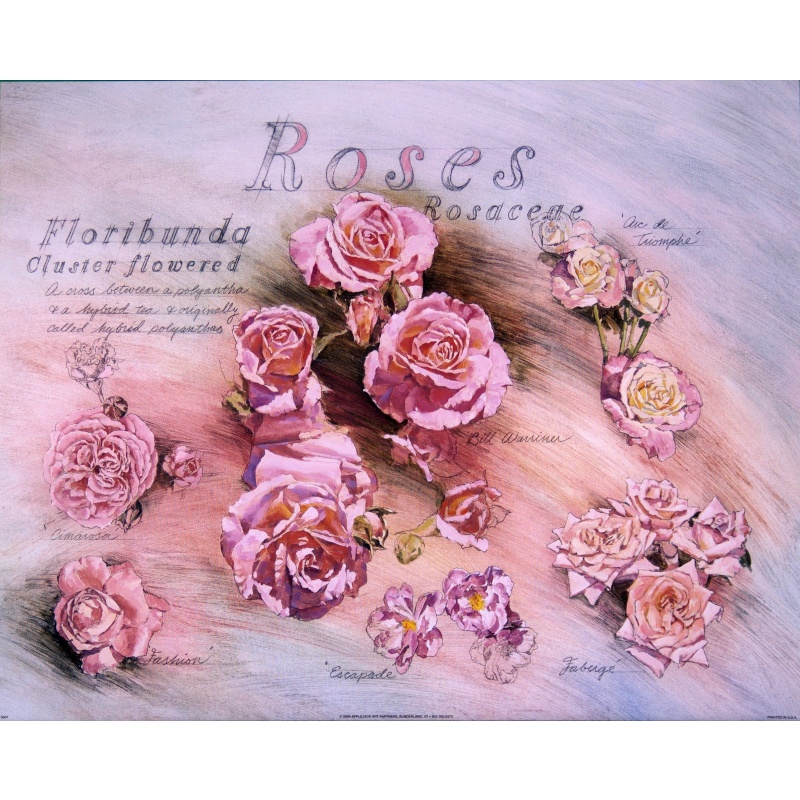 (16 x 20) Art Print DT0307 Applejack Art Partners - 