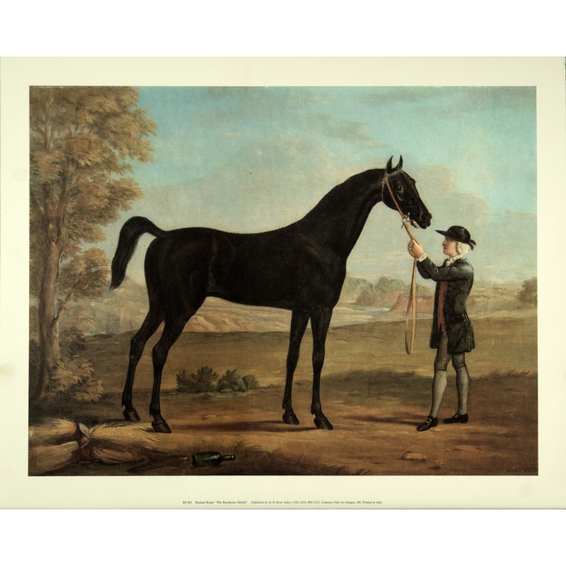 (16 x 20) Art Print RP001 Richard Roper - The Racehorse Othello - Printed in Italy