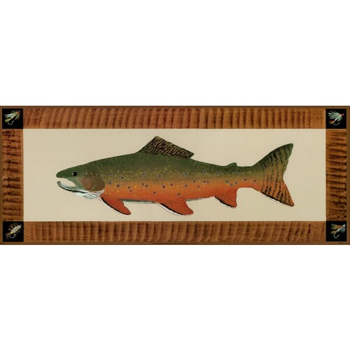 (8 x 20) Art Print MS0504 Mark Susinno Fish IX