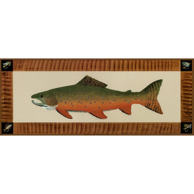 (8 x 20) Art Print MS0504 1999 Bernard Fine Art - Fish IX