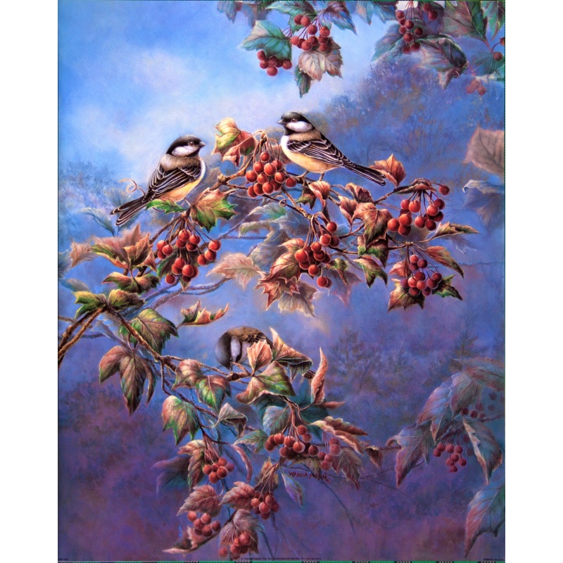 (16 x 20) Art Print WM0301 Wanda Mumm - 