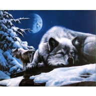 (16 x 20) Art Print KD0324 Kevin Daniel - 