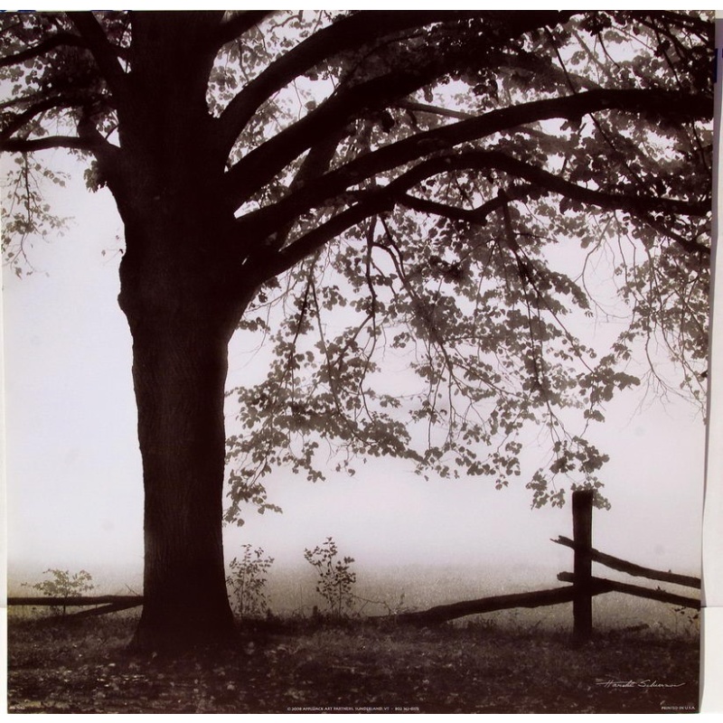 (16 x 16) Art Print HS5062 Harold Silverman - 