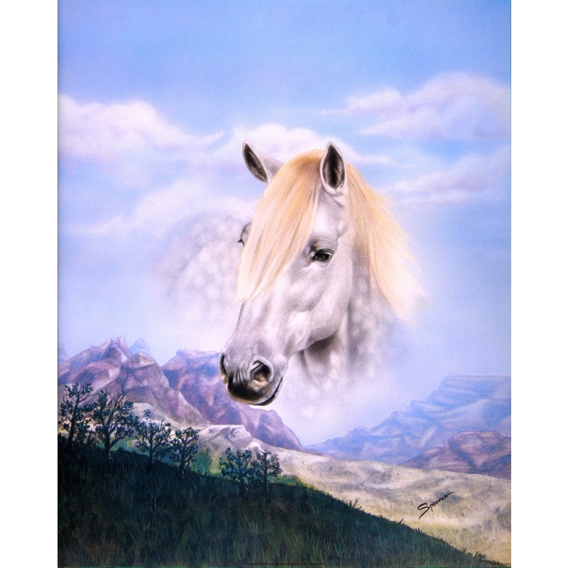 (16 x 20) Art Print SP0435 SPROVACH - 