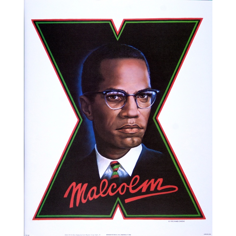 (16 x 20) Art Print PO1199 Ward Owens - Malcolm X