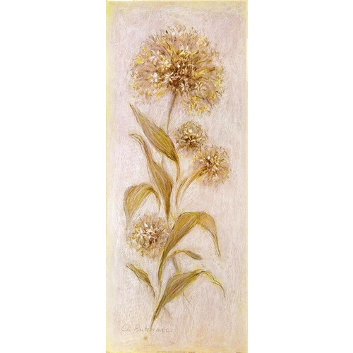 (12 x 30) Art Print AP0505 A. Pritchard White Botanical I