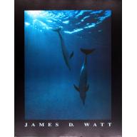 (22 x 28) Art Print PH179 James D. Watt Dolphins