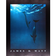 (22 x 28) Art Print PH179 James D. Watt - Dolphins