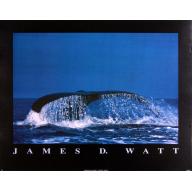 (22 x 28) Art Print PH182 James D. Watt Whale Tail Fin