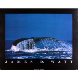 (22 x 28) Art Print PH182 James D. Watt - Whale Tail Fin