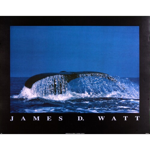 (22 x 28) Art Print PH182 James D. Watt Whale Tail Fin