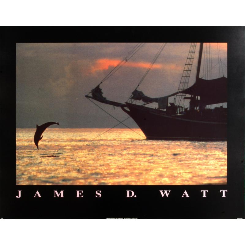 (22 x 28) Art Print PH181 James D. Watt Dolphin