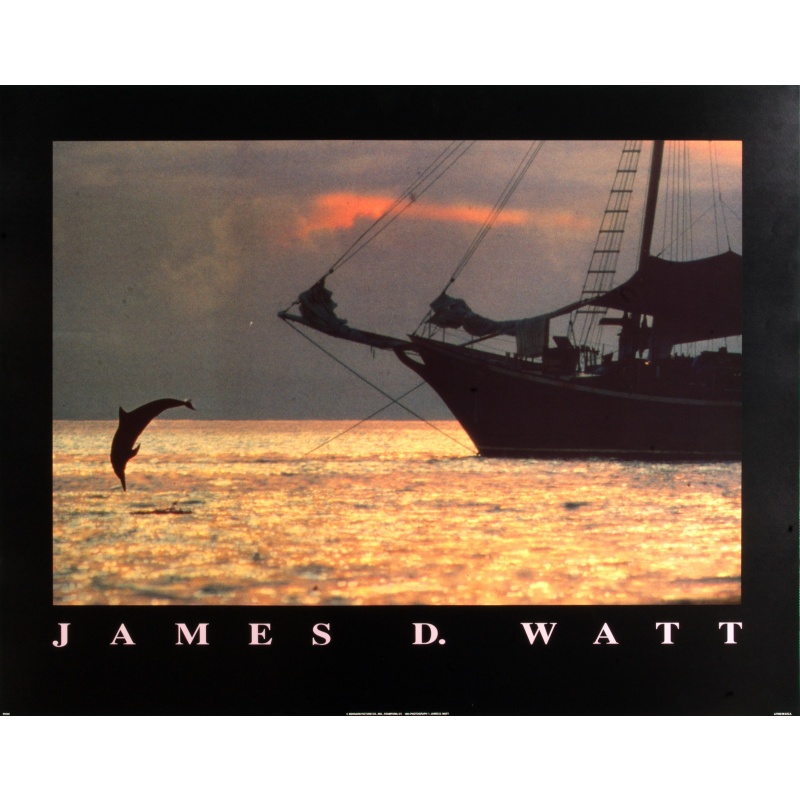 (22 x 28) Art Print PH181 James D. Watt - Dolphin