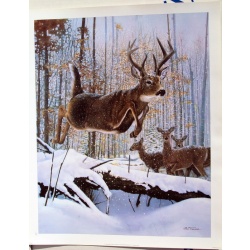 (18 x 22) Art Print RT0301 Bob Travers Leaping Deer