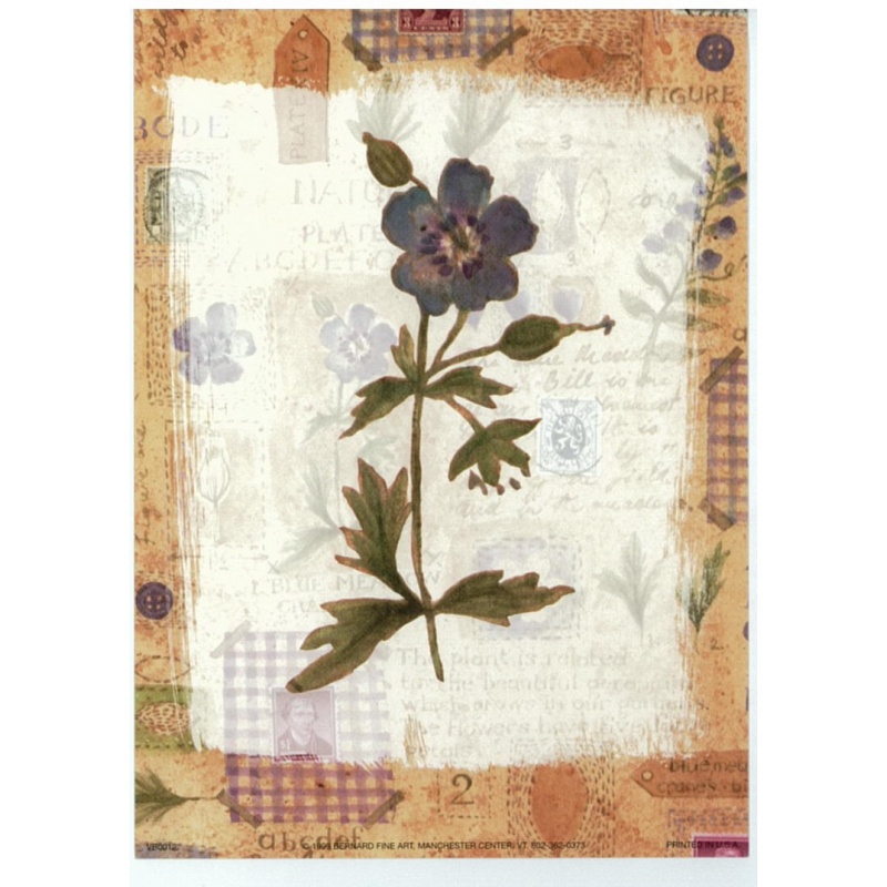 (5 x 7) Art Print VB0012 Vicki Bowman - 