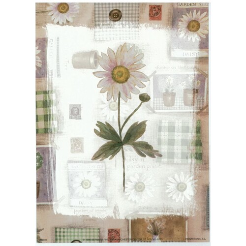 (5 x 7) Art Print VB0013 Vicki Bowman