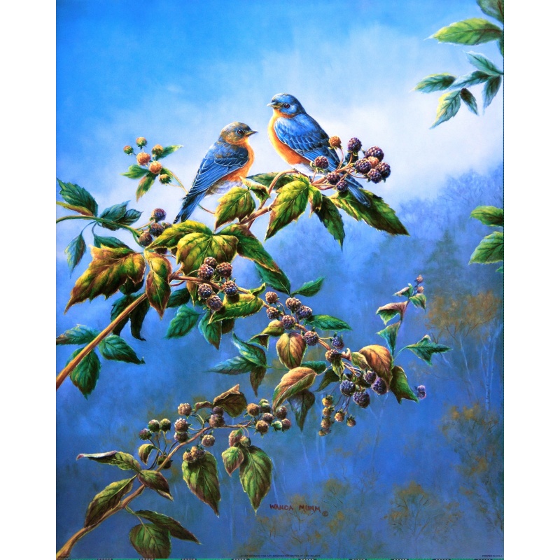 (16 x 20) Art Print WM0303 Wanda Mumm - 