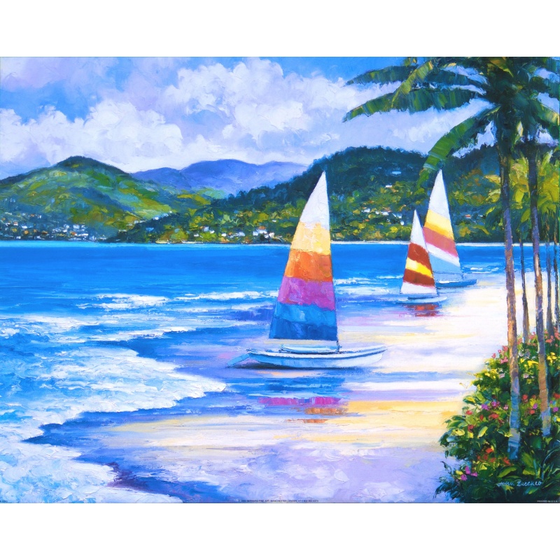 (16 x 20) Art Print ZA0310 JOHN ZACCHEO