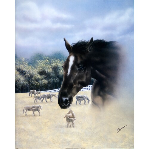 (16 x 20) Art Print SP0436 SPROVACH