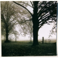 (16 x 16) Art Print HS5063 Harold Silverman - 