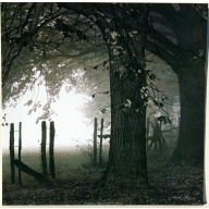 (16 x 16) Art Print HS5064 Harold Silverman - 