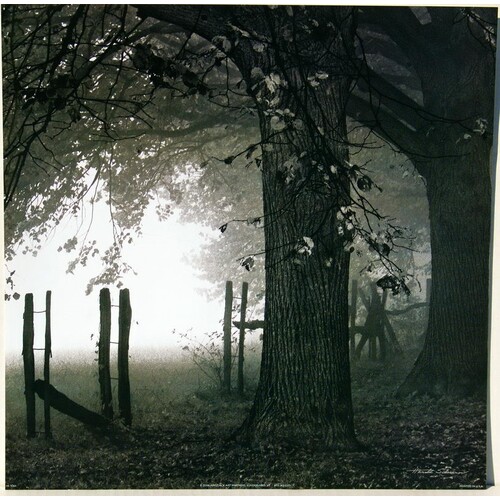 (16 x 16) Art Print HS5064 Harold Silverman