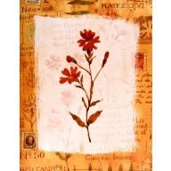 Lot of 2 (11 x 14) Art Print VB0209 Vicki Bowman - 