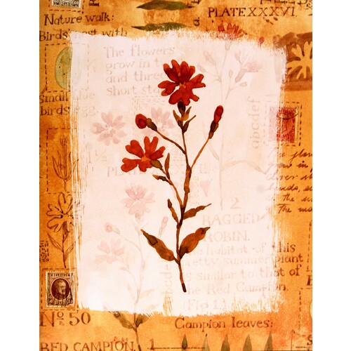 (11 x 14) Art Print VB0209 Vicki Bowman