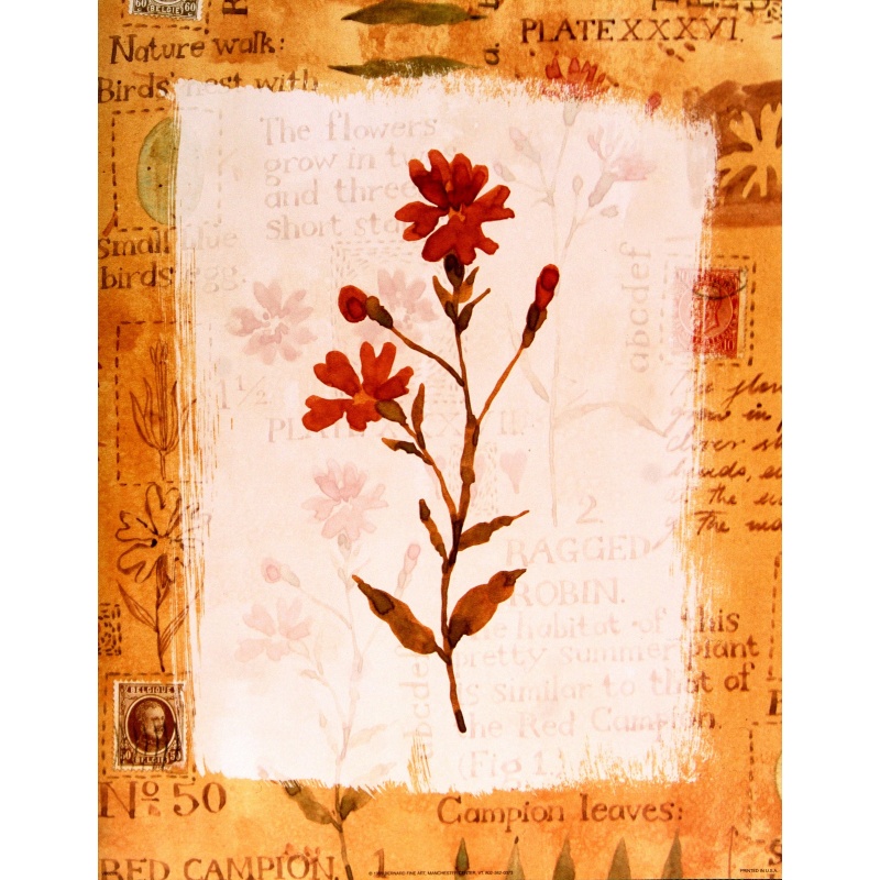 (11 x 14) Art Print VB0209 Vicki Bowman - 