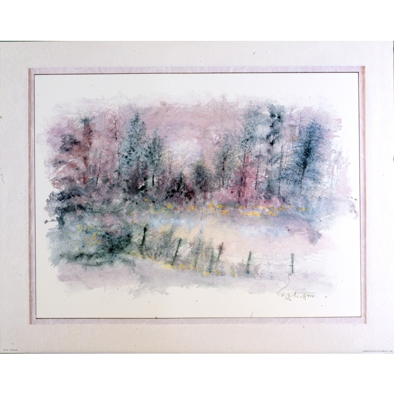 (22 x 28) Art Print PP1132 Falciano - 