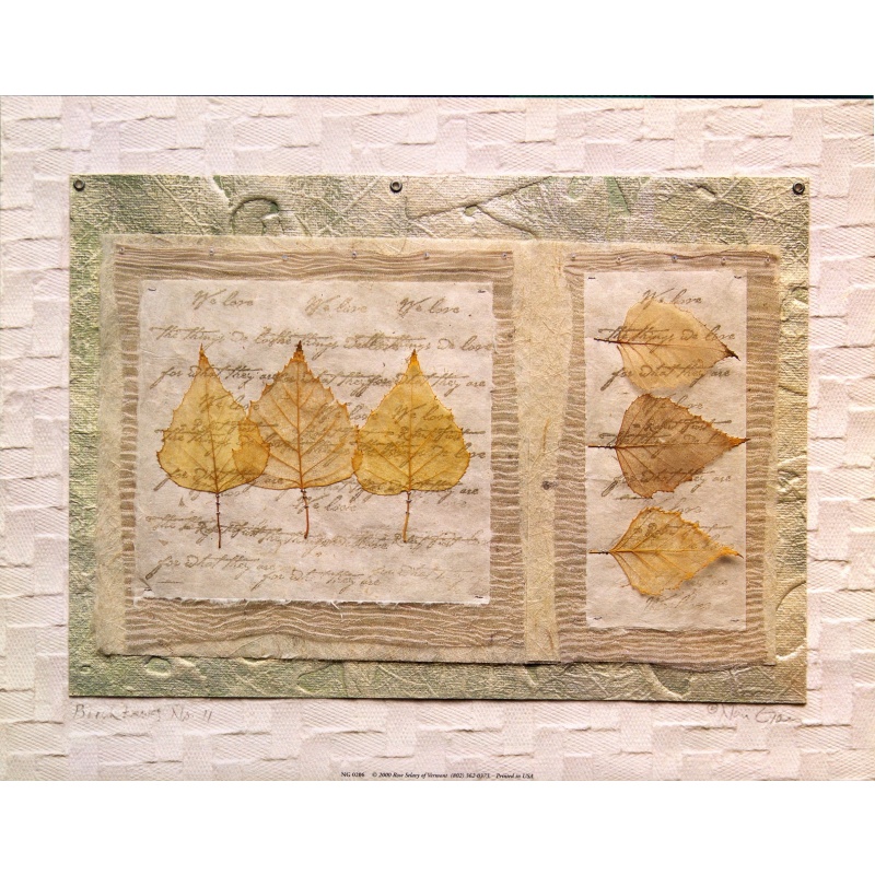 (11 x 14) Art Print NG0206 Rose Selavy Ltd. - 