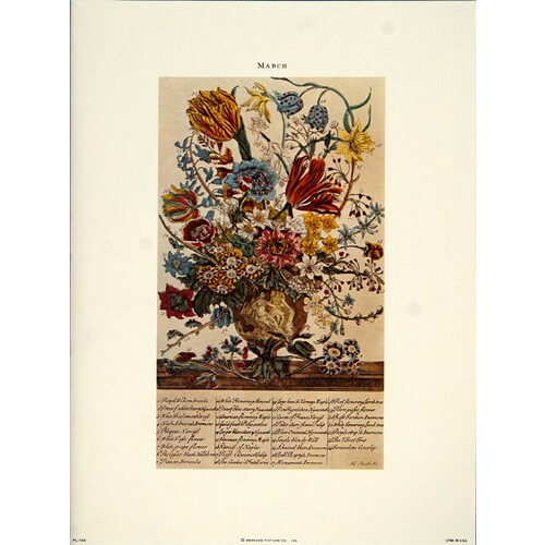 (9 x 12) Art Print FL102 Bernard Picture Co. Flowers of the Month - March