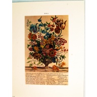 Lot of 3 (9 x 12) Art Print FL103 Bernard Picture Co. - Flowers of the Month - April