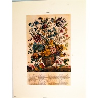 Lot of 3 (9 x 12) Art Print FL104 Bernard Picture Co. - Flowers of the Month - May