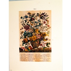 Lot of 3 (9 x 12) Art Print FL104 Bernard Picture Co. - Flowers of the Month - May