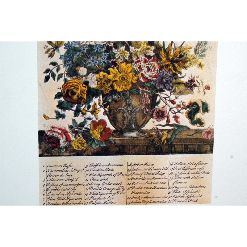 Lot of 3 (9 x 12) Art Print FL104 Bernard Picture Co. - Flowers of the Month - May