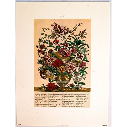 (9 x 12) Art Print FL106 Bernard Picture Co. Flowers of the Month - July