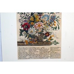 Lot of 3 (9 x 12) Art Print FL107 Bernard Picture Co. - Flowers of the Month - August