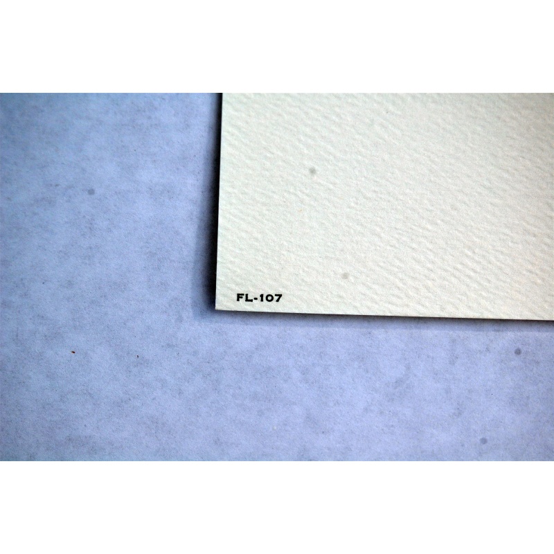 Lot of 3 (9 x 12) Art Print FL107 Bernard Picture Co. - Flowers of the Month - August