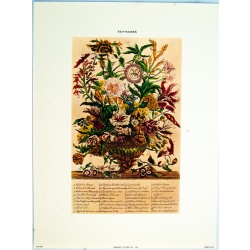 Lot of 3 (9 x 12) Art Print FL108 Bernard Picture Co. - Flowers of the Month - September