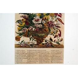 Lot of 3 (9 x 12) Art Print FL108 Bernard Picture Co. - Flowers of the Month - September