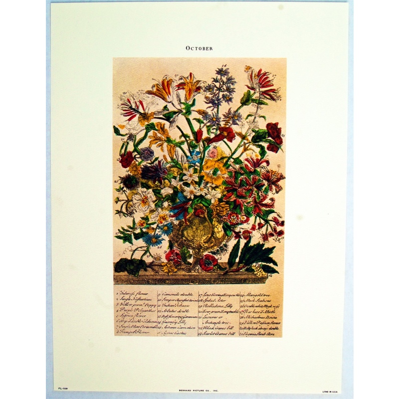 Lot of 3 (9 x 12) Art Print FL109 Bernard Picture Co. - Flowers of the Month - October