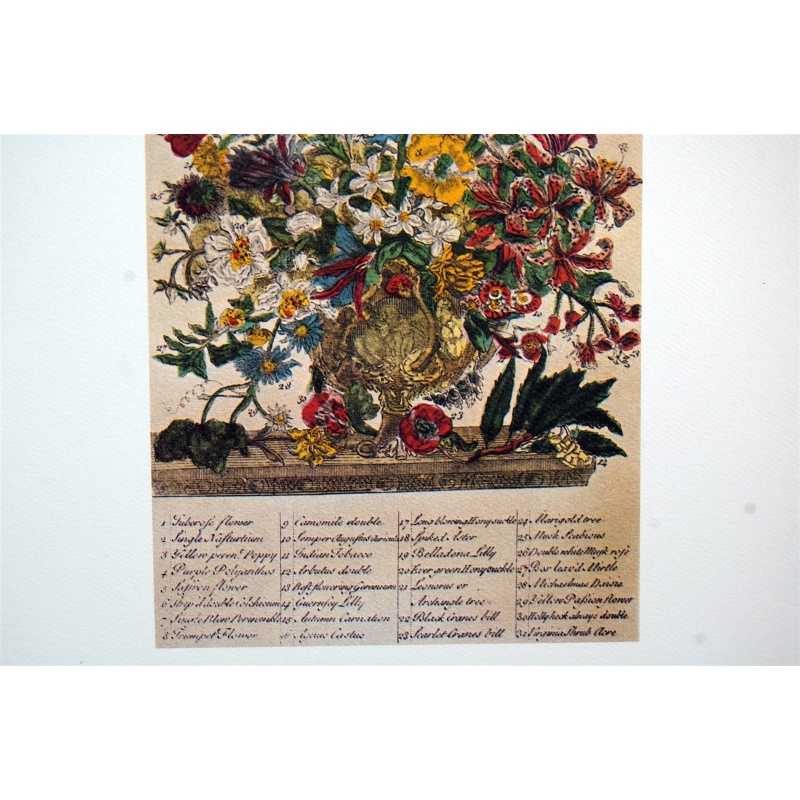 Lot of 3 (9 x 12) Art Print FL109 Bernard Picture Co. - Flowers of the Month - October