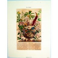 Lot of 3 (9 x 12) Art Print FL111 Bernard Picture Co. - Flowers of the Month - December