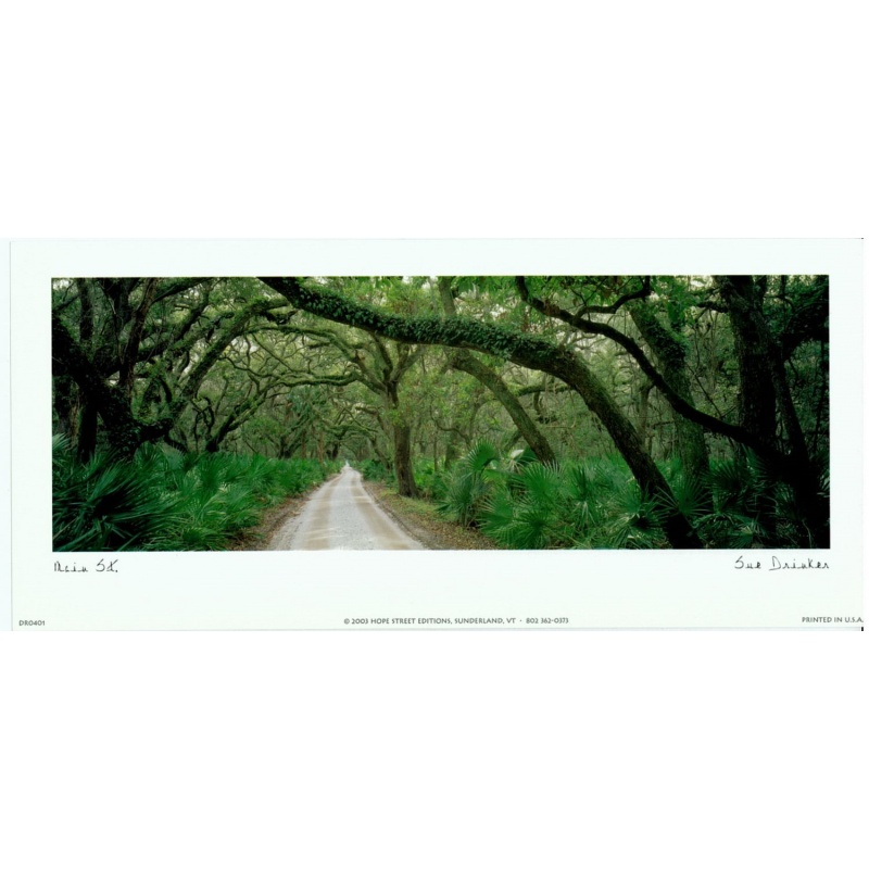 Lot of 7 (5 x 11) Art Print DR0401 Sue Drinker - Main St.