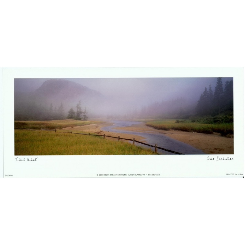 (5 x 11) Art Print DR0404 Sue Drinker Tidal Mist