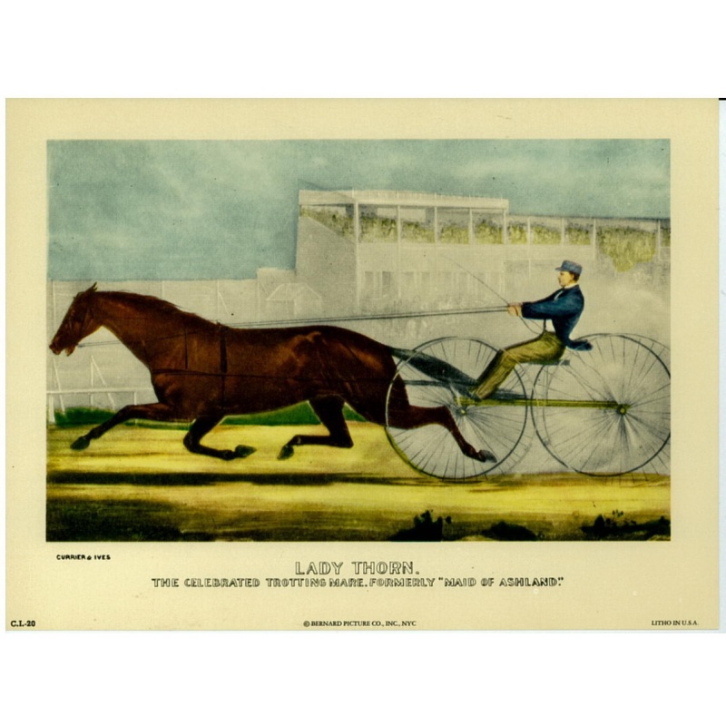 Lot of 8 (6 x 8) Art Print CI20 Currier and Ives - Lady Thorn - Formerly Maid of Ashland